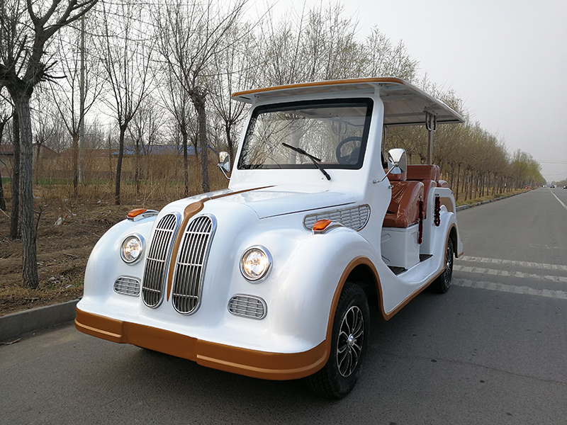 電動(dòng)老爺車三排8座