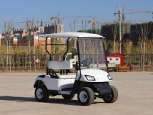 電動(dòng)高爾夫球車2座
